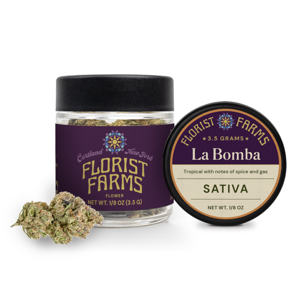 Florist Farms La Bomba Flower, 3.5G - 3.5G