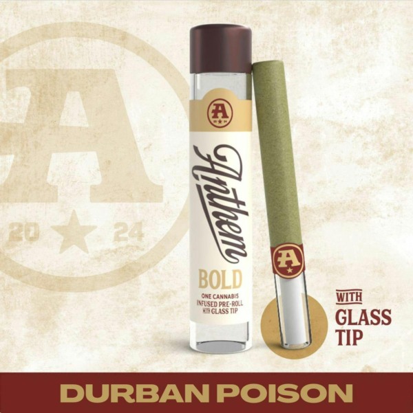 Anthem Durban Poison Bold Glass Tip Infused Pre-Roll, 1G - 1G