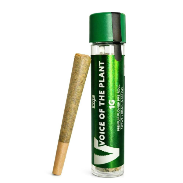 Voice of the Plant Lip Smackers Pre-Roll, 1G - 1G